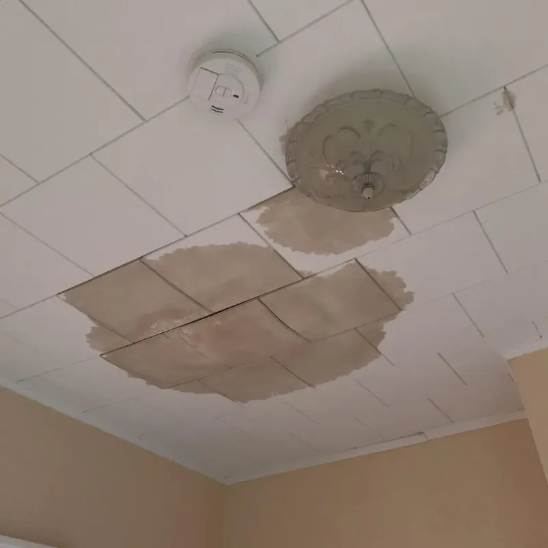 Ceiling Water Damage Repair in Jefferson Davis County, MS