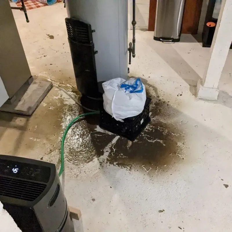 Sewage Backup Cleanup Service in Jefferson Davis County, MS